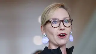&lsquo;Activist fairyland&rsquo;: Greens Party consists of people with &lsquo;luxury beliefs&rsquo;
