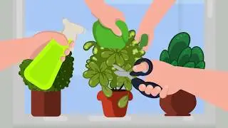 MYROSEMARY - Motion Graphics Explainer Video/ Ukraine