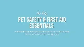 Paw Palz - Pet First Aid & Safety Essentials - Your Pets Safety Is Our Priority!
