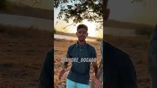 ANDR&Eacute; DO GADO
