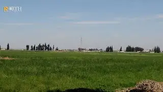 مزارعون في الرقة يطالبون بتسعيرة جيدة لمحصولي القمح والشعير تعوض لهم خسائر تكبدوها
