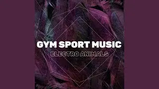 Sport Drive Music