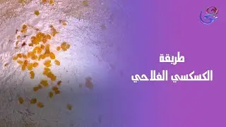الكسكسي الفلاحي لما يتعمل على أصوله من أيد الشيف هالة فهمي😋