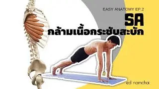 SA กล้ามเนื้อกระชับสะบัก: Easy Anatomy EP.2