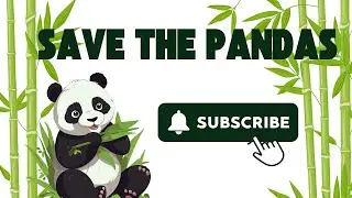 Save the Pandas | PANDAS are Going EXTINCT Faster Than You Think!