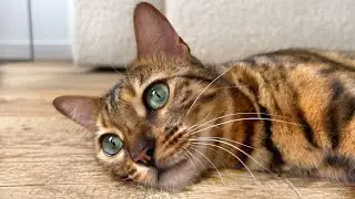 Mimi’s Family Diary- Mimi loves her raw diet.