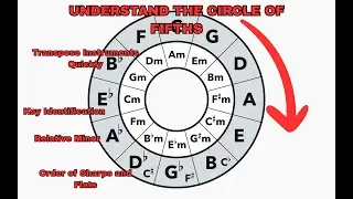 Circle of Fifths: The Underrated Tool Every Musician Should Know