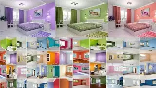 Bedroom colour combination 🏠 || room colour design || birla opus pants