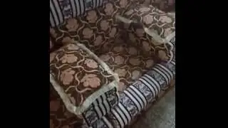 Factory sofa stock cleaning Arabic Majlis middle east sofa set