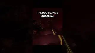 When A Dog Gets Godlike Powers #shorts #godzilla #trending
