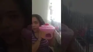 Casitas para cobayas, g&uuml;imos, guinea pig ect.