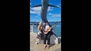 NewJanuary18,2025tony&DonnaEvans-king in bay of islandsNew Zealand working ON ESONG GLOBALROCK in NZ