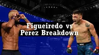 UFC 255  - Deiveson Figueiredo vs Alex Perez Breakdown