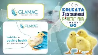 Animal Feed Supplement Company  | GLAMAC | Kolkata International Poultry Fair 2024 | Hybiz Tv