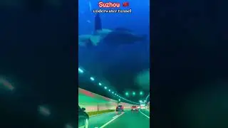 Transparent Underwater Tunnel 🇨🇳 Suzhou China #marveler #travel #asmr #shorts