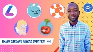 Cardano NEWS - LENFI TESTNET?! AnetaBTC Mainnet LAUNCH, CherryLend Testnet & Coinecta Updates!
