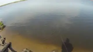 Pontoon21 Crackjack  98SP MR  10