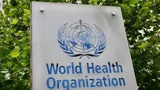 World Health Organization holds coronavirus briefing