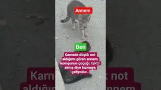 annesi b&ouml;yle olanlar beğeninde sayımızı g&ouml;relim..#akım #music #ben #anne #karne #mizah #fyp
