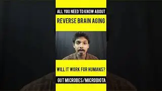 Gut Microbes Helps in Reverse Brain Aging | Infodian #shorts