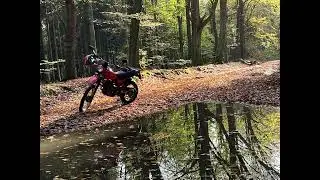 XL 250 R 1982 FIRST TESTRIDE IN THE WOODS