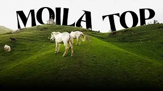 Adventurous Ride to Moila Top | Clouds, Meadows & Mountains | Himalayan 411 | Chakrata |  Part 2