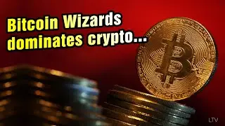 Bitcoin Wizards dominates crypto and NFT scenes with impressive gains - Crypto News
