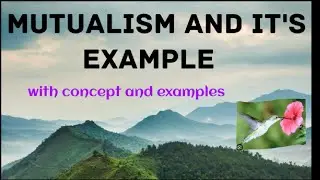 Mutualism|Types of mutualism|Examples of mutualism| Concept of mutualism