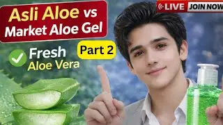 Market Aloe Vera Gel vs Fresh Aloe Vera – Part 2 : Gardening with Zaim Live