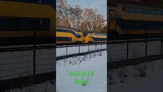 virm komt in de sneeuw door apeldoorn.