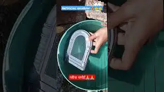 artificial rainbow#rainbow kaise banaen#sun water and mirror youtubeshorts#viral