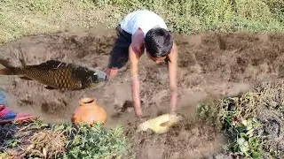 UNBELIEVABLE FISHING TECHNIQUE || Amazing Big Fish hand catching || With Big🍗chicken