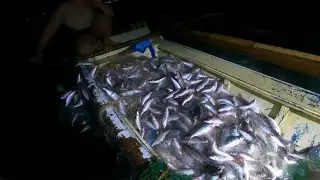 Sa dami ng dalagang bukid naabutan kami ng dilim