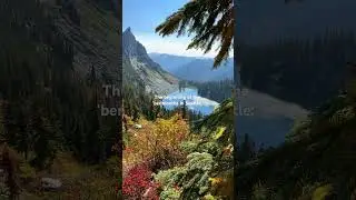 We start to see fall foliage this month! #seattle #pacificnorthwest