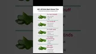 Find Out the Best Aloe Vera Hair Masks for Gorgeous Hair 🌿| DIY Hair Care Tips #findout #diyhaircare