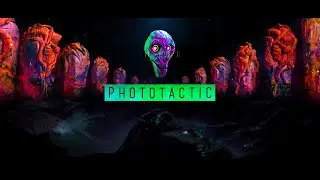 Phototactic - Abstract Animated Short Film