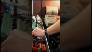 Quick Jam #002. #pedalboard #akai #sampler #sampling #s950 #s1000 #s3000xl #dsd2 #halloffame #line6