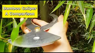 Bamboo Caliper | A Comparison of Diameter Between Species