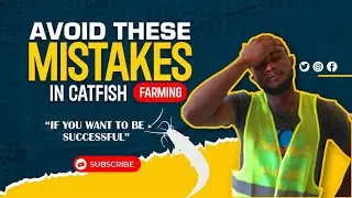 Common Mistakes Catfish Farmers Make & How to Avoid them.