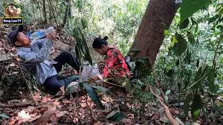 បន្លែដុះលើផ្ទាំងថ្មលើភ្នំស្លរកំពឹងសែនឈ្ងុយ VEGEYTABLE ON TOP OF THE MOUNTAIN IS SO YUMMY 4K VIDEO