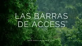 &iquest;Qu&eacute; son las Barras de Access?