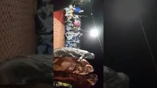 ٦ ديسمبر ٢٠٢٢