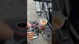 The best engine oil for Bajaj Pulsar is Motul 4T 3100 Gold
