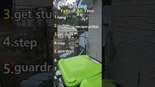 Ranking Best  Best DogFails of All Time