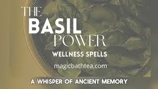Basil Rituals &mdash; Cleansing Energy, Prosperity and Protection