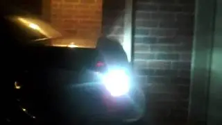 LEDbulbz: 36-LED 
