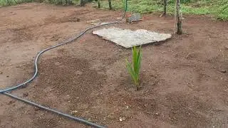 Atualização do sítio do zero, obrigado meu Deus!!!