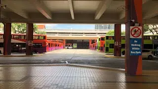 Buses in Bishan Interchange, November 2021