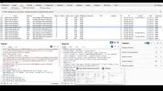 Use of advance burp scope control using regex