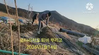 2026년 1월 14일